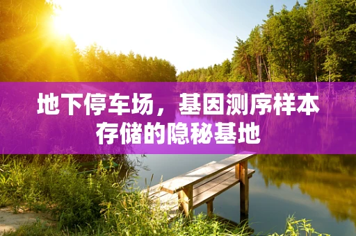 地下停车场，基因测序样本存储的隐秘基地