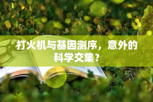 打火机与基因测序，意外的科学交集？