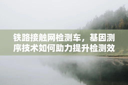 铁路接触网检测车，基因测序技术如何助力提升检测效率？
