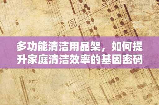 多功能清洁用品架，如何提升家庭清洁效率的基因密码？