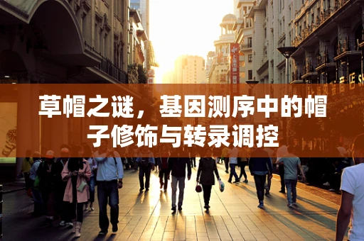 草帽之谜，基因测序中的帽子修饰与转录调控