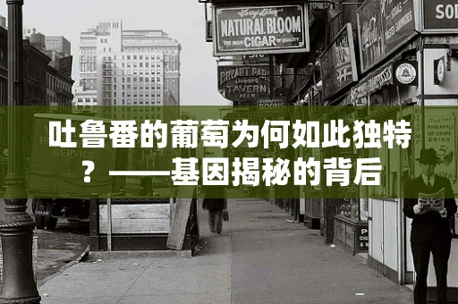 吐鲁番的葡萄为何如此独特？——基因揭秘的背后