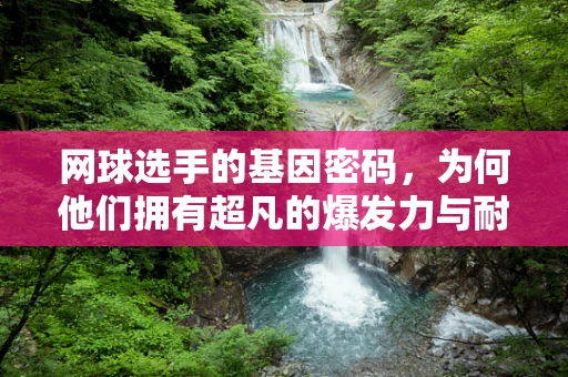 网球选手的基因密码，为何他们拥有超凡的爆发力与耐力？