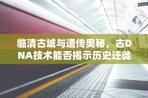 临清古城与遗传奥秘，古DNA技术能否揭示历史迁徙的秘密？