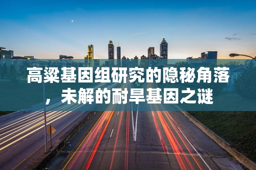 高粱基因组研究的隐秘角落，未解的耐旱基因之谜