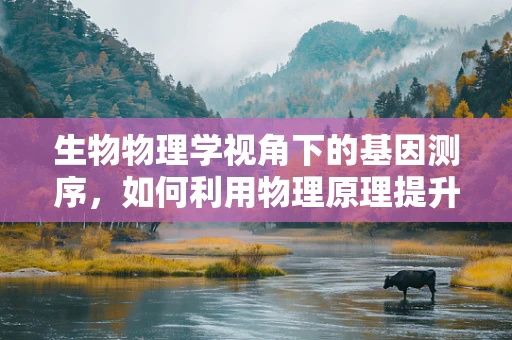 生物物理学视角下的基因测序，如何利用物理原理提升测序精度？