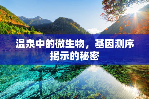 温泉中的微生物，基因测序揭示的秘密