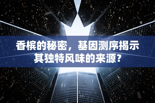 香槟的秘密，基因测序揭示其独特风味的来源？