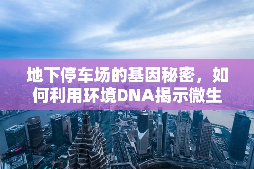 地下停车场的基因秘密，如何利用环境DNA揭示微生物群落？