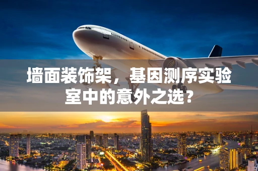 墙面装饰架，基因测序实验室中的意外之选？