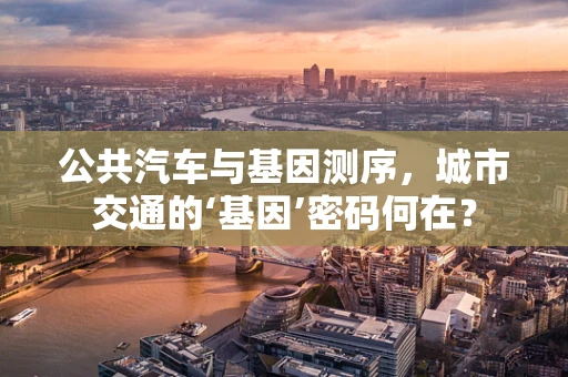 公共汽车与基因测序，城市交通的‘基因’密码何在？