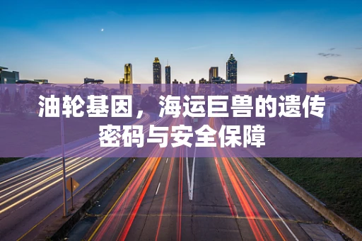 油轮基因，海运巨兽的遗传密码与安全保障