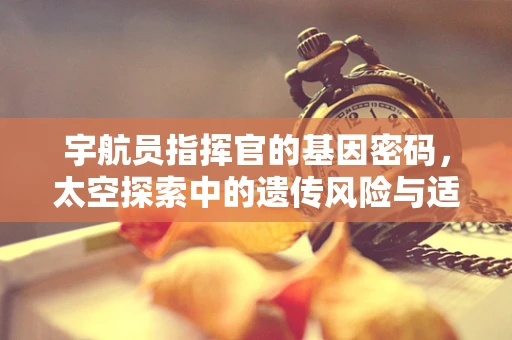 宇航员指挥官的基因密码，太空探索中的遗传风险与适应力