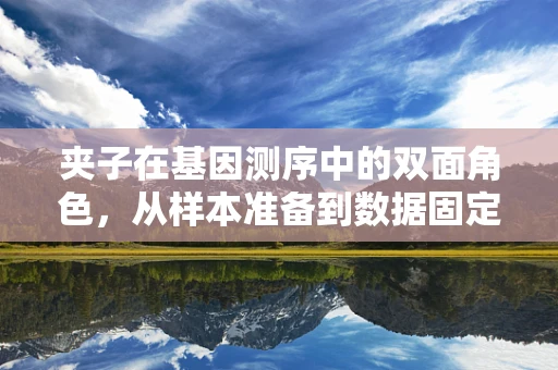 夹子在基因测序中的双面角色，从样本准备到数据固定的关键工具