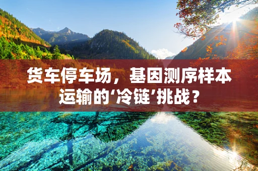 货车停车场，基因测序样本运输的‘冷链’挑战？
