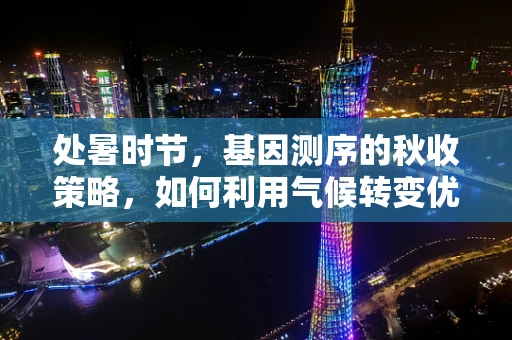 处暑时节，基因测序的秋收策略，如何利用气候转变优化样本处理与数据分析？