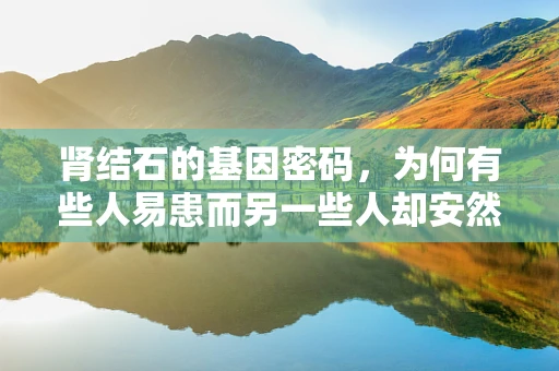 肾结石的基因密码，为何有些人易患而另一些人却安然无恙？