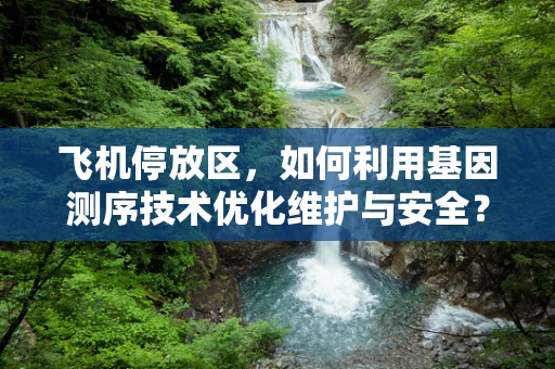 飞机停放区，如何利用基因测序技术优化维护与安全？