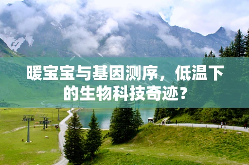 暖宝宝与基因测序，低温下的生物科技奇迹？