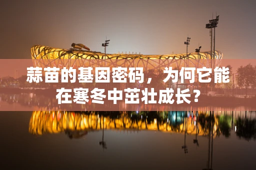 蒜苗的基因密码，为何它能在寒冬中茁壮成长？