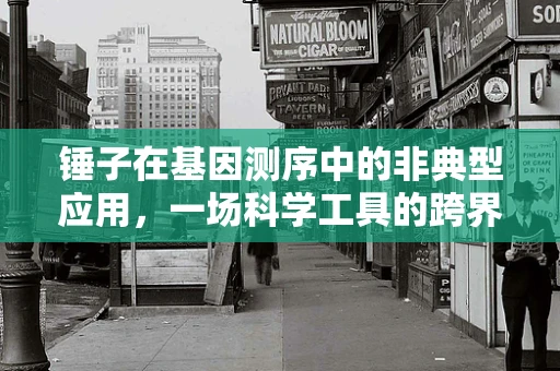 锤子在基因测序中的非典型应用，一场科学工具的跨界探索？