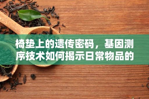 椅垫上的遗传密码，基因测序技术如何揭示日常物品的秘密？