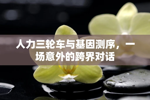 人力三轮车与基因测序，一场意外的跨界对话