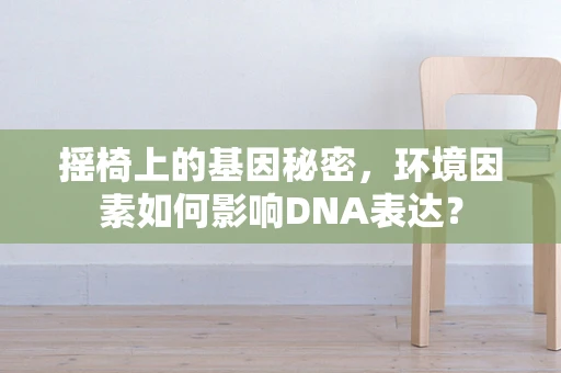 摇椅上的基因秘密，环境因素如何影响DNA表达？