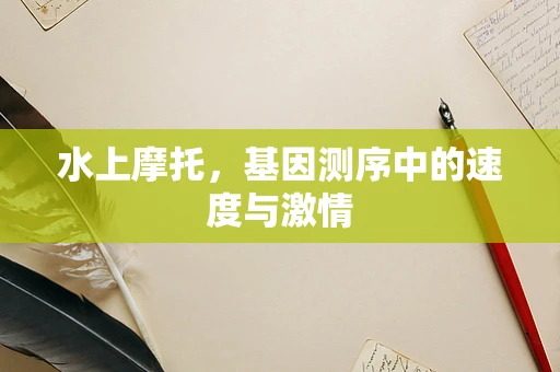 水上摩托，基因测序中的速度与激情