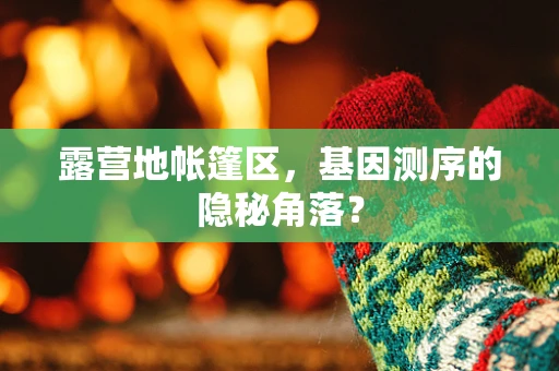露营地帐篷区，基因测序的隐秘角落？