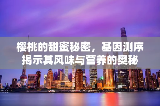樱桃的甜蜜秘密，基因测序揭示其风味与营养的奥秘