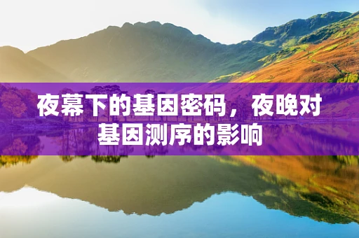 夜幕下的基因密码，夜晚对基因测序的影响