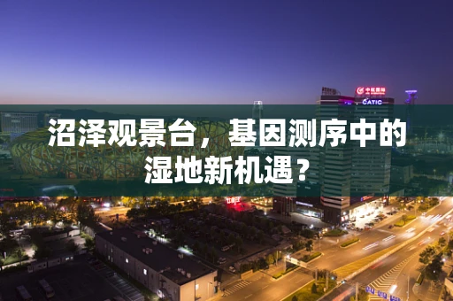 沼泽观景台，基因测序中的湿地新机遇？