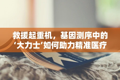 救援起重机，基因测序中的‘大力士’如何助力精准医疗？