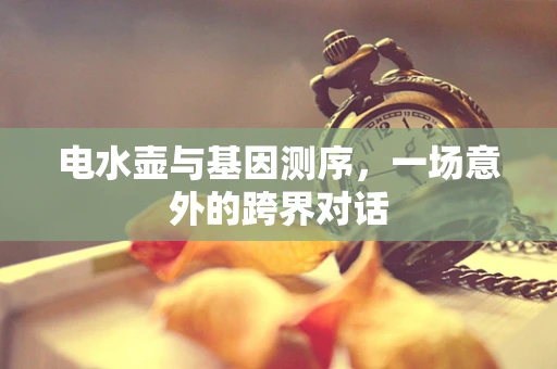电水壶与基因测序，一场意外的跨界对话