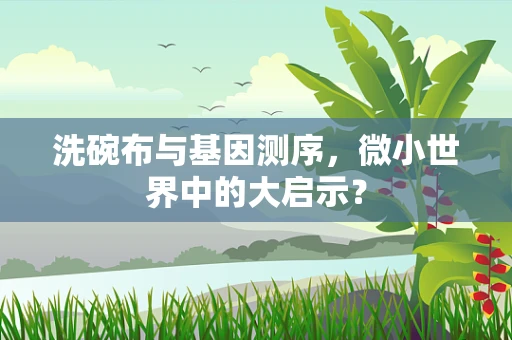 洗碗布与基因测序，微小世界中的大启示？