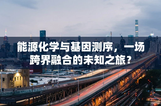 能源化学与基因测序，一场跨界融合的未知之旅？