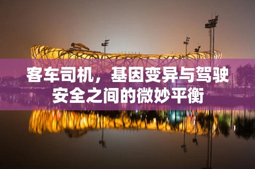 客车司机，基因变异与驾驶安全之间的微妙平衡