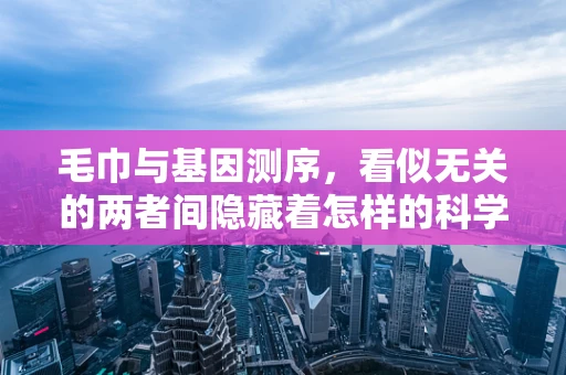 毛巾与基因测序，看似无关的两者间隐藏着怎样的科学联系？