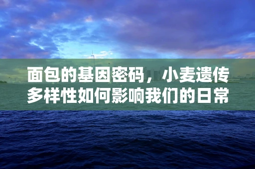 面包的基因密码，小麦遗传多样性如何影响我们的日常面包？