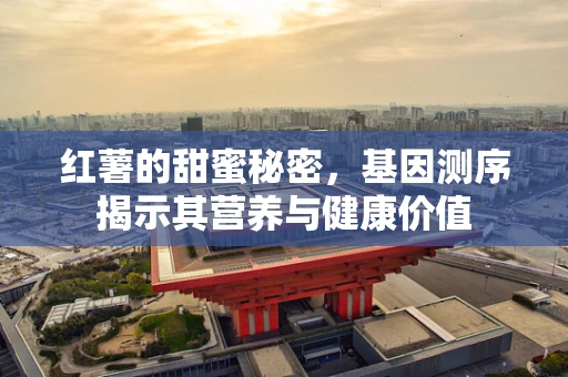 红薯的甜蜜秘密，基因测序揭示其营养与健康价值