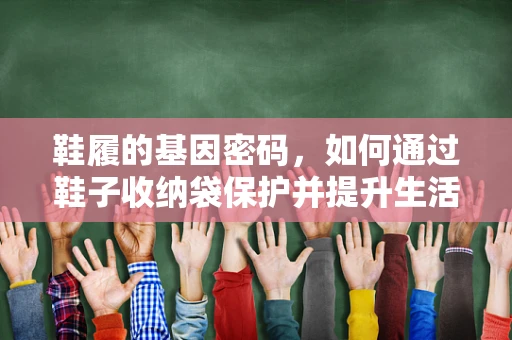 鞋履的基因密码，如何通过鞋子收纳袋保护并提升生活品质？