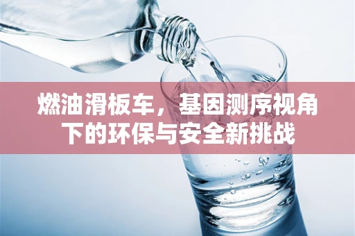 燃油滑板车，基因测序视角下的环保与安全新挑战