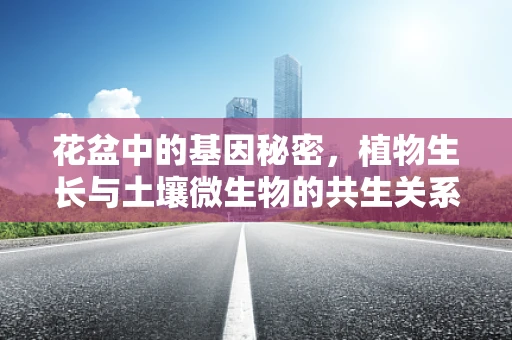 花盆中的基因秘密，植物生长与土壤微生物的共生关系