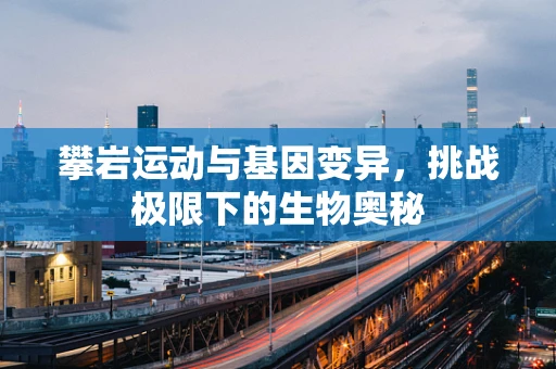 攀岩运动与基因变异，挑战极限下的生物奥秘