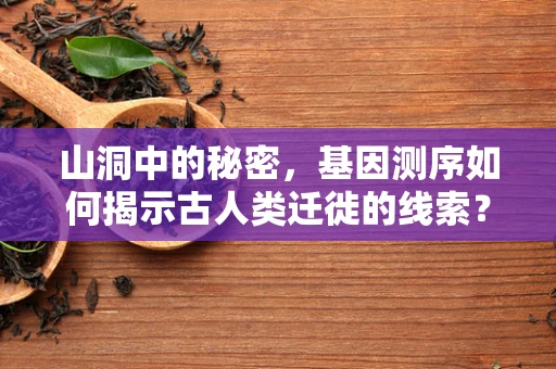 山洞中的秘密，基因测序如何揭示古人类迁徙的线索？