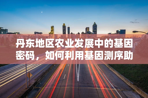 丹东地区农业发展中的基因密码，如何利用基因测序助力作物改良？