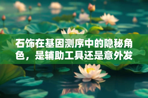 石饰在基因测序中的隐秘角色，是辅助工具还是意外发现？