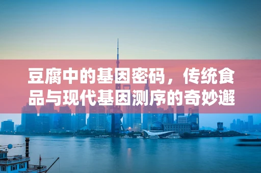 豆腐中的基因密码，传统食品与现代基因测序的奇妙邂逅