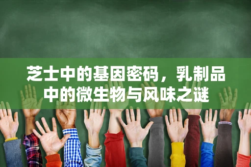 芝士中的基因密码，乳制品中的微生物与风味之谜